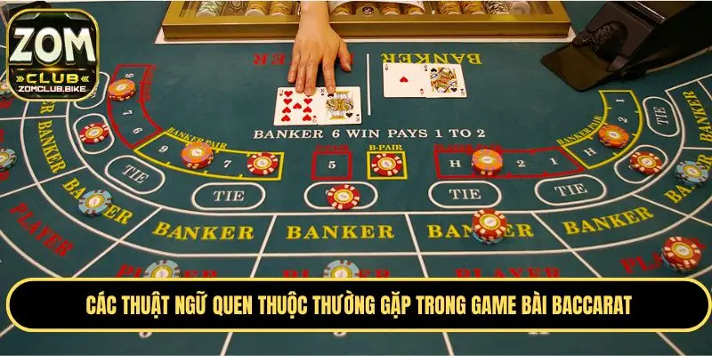 Baccarat Zomclub - Game Casino Được Yêu Thích Nhất Hiện Nay 2 Các thuật ngữ quen thuộc thường gặp trong game bài Baccarat