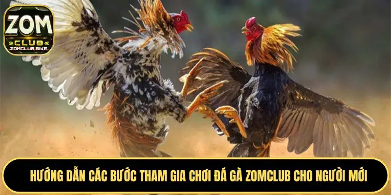 Đá Gà Zomclub Xem Trực Tiếp - Đặt Cược Các Trận Đấu Đỉnh Cao 5 Chơi dễ dàng với các bước tham gia chuẩn nhất