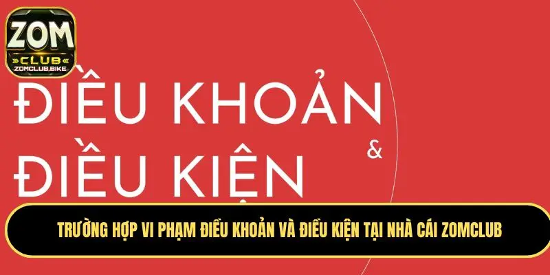 Điều Khoản Và Điều Kiện - Quy Định Chung Khi Sử Dụng Dịch Vụ 3 Nghiêm cấm các hành vi dùng phần mềm thứ ba