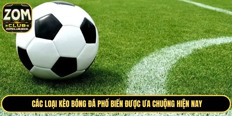 Đọc Kèo Bóng Đá - Kinh Nghiệm Soi Kèo Chuẩn Từ Chuyên Gia 2 Kèo tài xỉu trong bóng đá được nhiều người ưa chuộng
