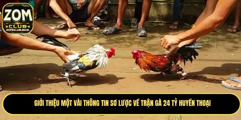 Trận Gà 24 Tỷ - Cuộc Đối Đầu Kinh Điển Trong Giới Chọi Gà 1 Tìm hiểu một vài thông tin cơ bản về trận gà 24 tỷ lịch sử