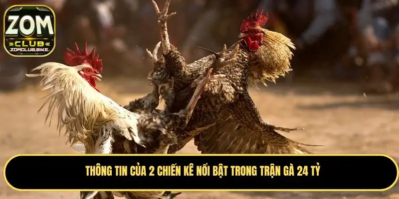 Trận Gà 24 Tỷ - Cuộc Đối Đầu Kinh Điển Trong Giới Chọi Gà 3 Thông tin về 2 chiến kê tham gia vào trận chọi gà 24 tỷ