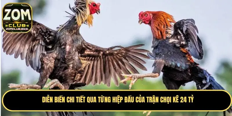 Trận Gà 24 Tỷ - Cuộc Đối Đầu Kinh Điển Trong Giới Chọi Gà 4 Diễn biến qua từng hiệp của trận chọi kê 24 tỷ lịch sử