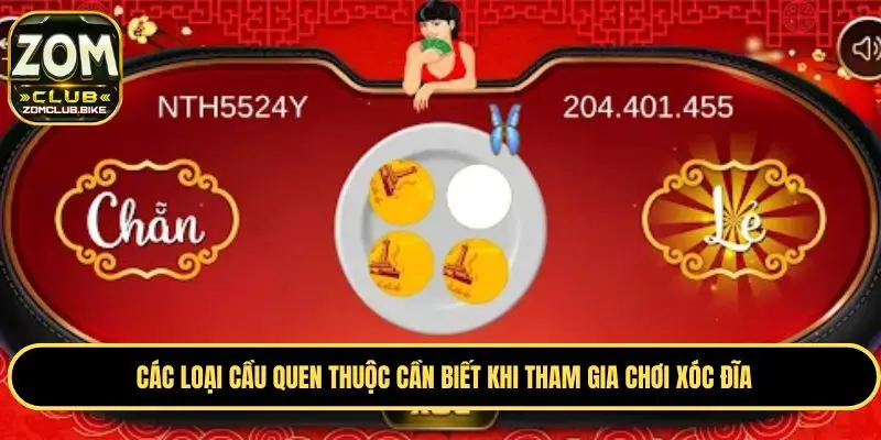 Xóc Đĩa Zomclub - Trò Chơi Giải Trí Được Ưa Chuộng Nhất 3 Các loại cầu thường thấy khi tham gia chơi xóc đĩa