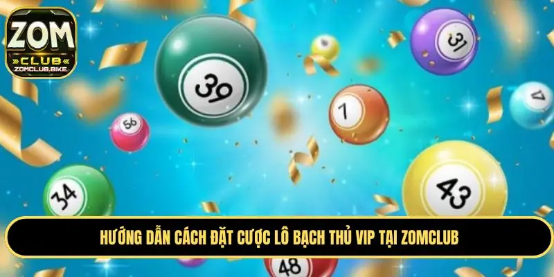 Zomclub Lô Bạch Thủ VIP- Hướng Dẫn Mẹo Soi Kèo Lô Cực Đỉnh 3 Chia sẻ chi tiết quy trình đặt cược lô bạch thủ VIP