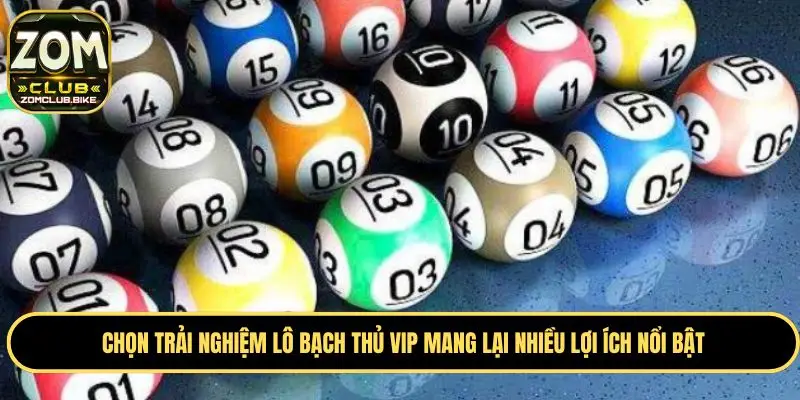 Zomclub Lô Bạch Thủ VIP- Hướng Dẫn Mẹo Soi Kèo Lô Cực Đỉnh 4 Ưu điểm khi tham gia lô bạch thủ VIP tại Zomclub